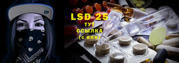 стафф Аркадак