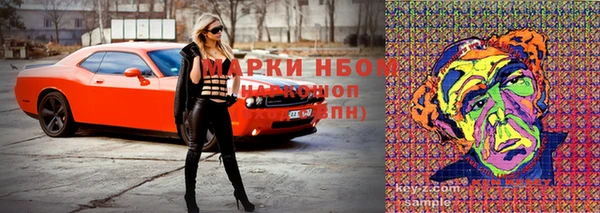 дурь Арсеньев