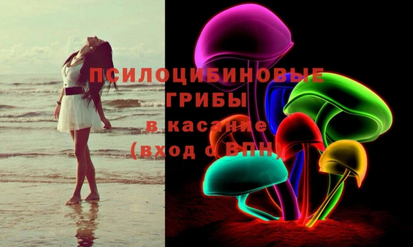 стафф Аркадак