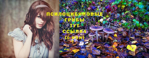 стафф Аркадак